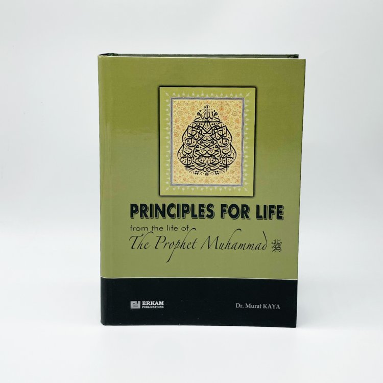 Principles For Life product image